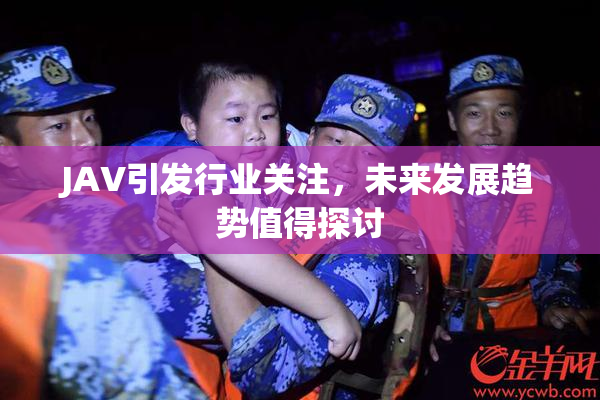 JAV引发行业关注，未来发展趋势值得探讨