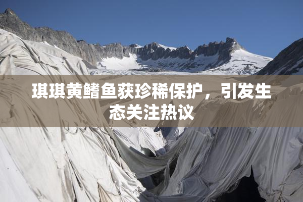 琪琪黄鳍鱼获珍稀保护，引发生态关注热议
