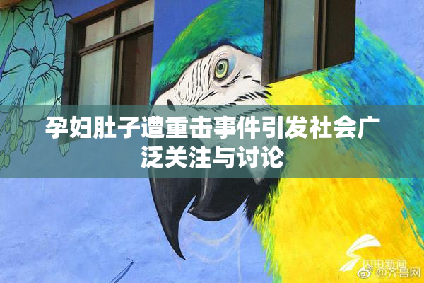 孕妇肚子遭重击事件引发社会广泛关注与讨论