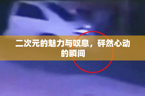 二次元的魅力与叹息，砰然心动的瞬间