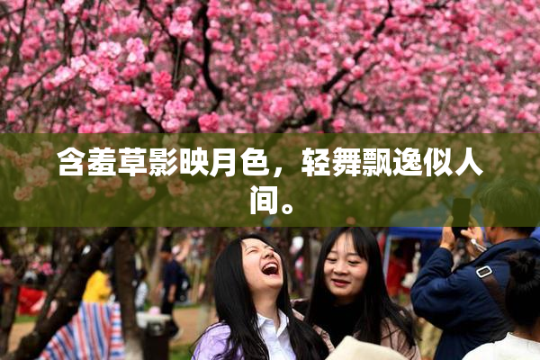含羞草影映月色，轻舞飘逸似人间。