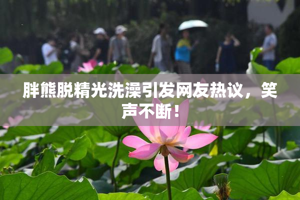 胖熊脱精光洗澡引发网友热议，笑声不断！
