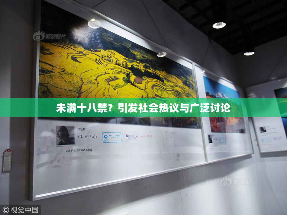未满十八禁？引发社会热议与广泛讨论