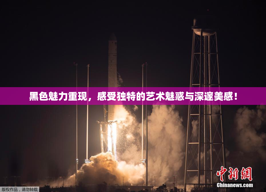 黑色魅力重现，感受独特的艺术魅惑与深邃美感！