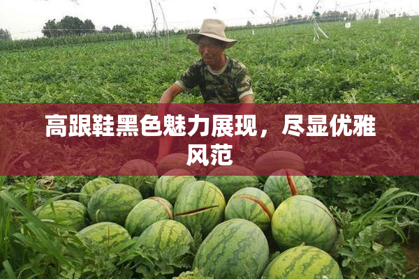 高跟鞋黑色魅力展现，尽显优雅风范