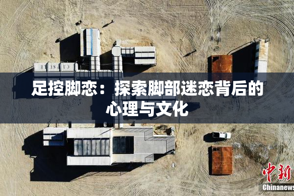 足控脚恋：探索脚部迷恋背后的心理与文化