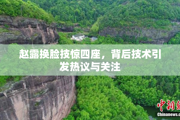 赵露换脸技惊四座，背后技术引发热议与关注