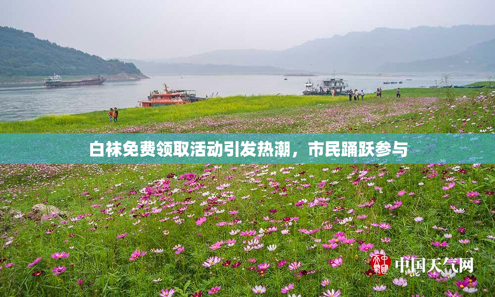 白袜免费领取活动引发热潮，市民踊跃参与