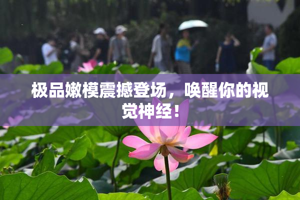 极品嫩模震撼登场，唤醒你的视觉神经！