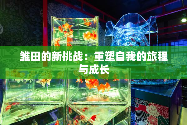 雏田的新挑战：重塑自我的旅程与成长