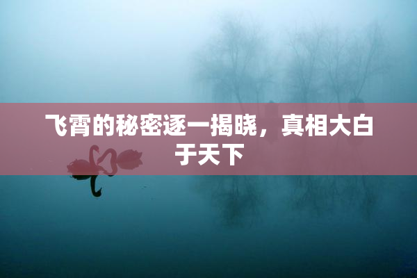 飞霄的秘密逐一揭晓，真相大白于天下