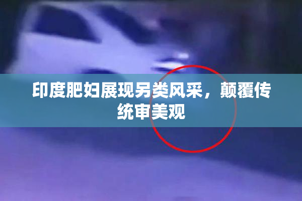 印度肥妇展现另类风采，颠覆传统审美观