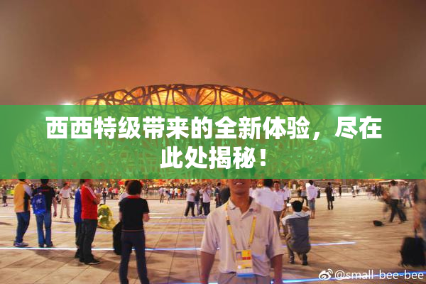 西西特级带来的全新体验，尽在此处揭秘！