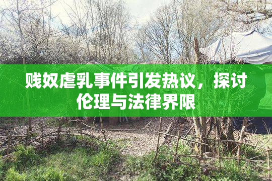 贱奴虐乳事件引发热议，探讨伦理与法律界限