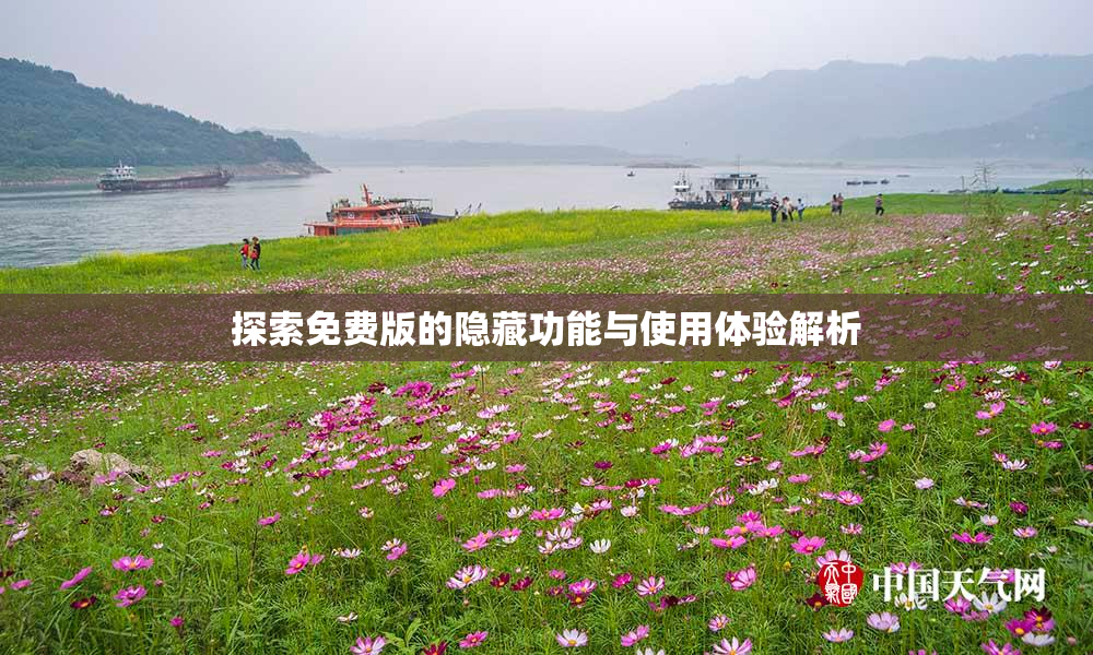 探索免费版的隐藏功能与使用体验解析