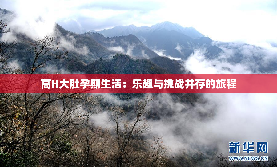 高H大肚孕期生活：乐趣与挑战并存的旅程