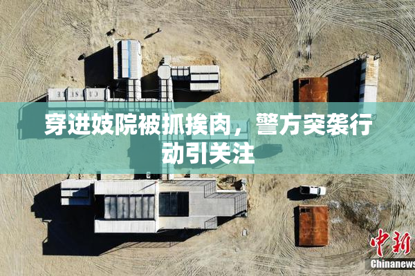 穿进妓院被抓挨肉，警方突袭行动引关注