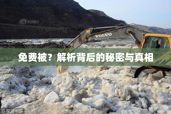 免费被？解析背后的秘密与真相