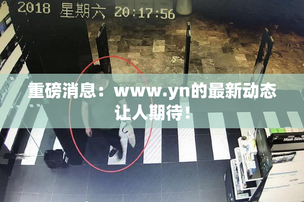 重磅消息：www.yn的最新动态让人期待！
