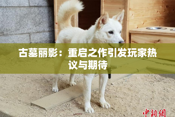 古墓丽影：重启之作引发玩家热议与期待