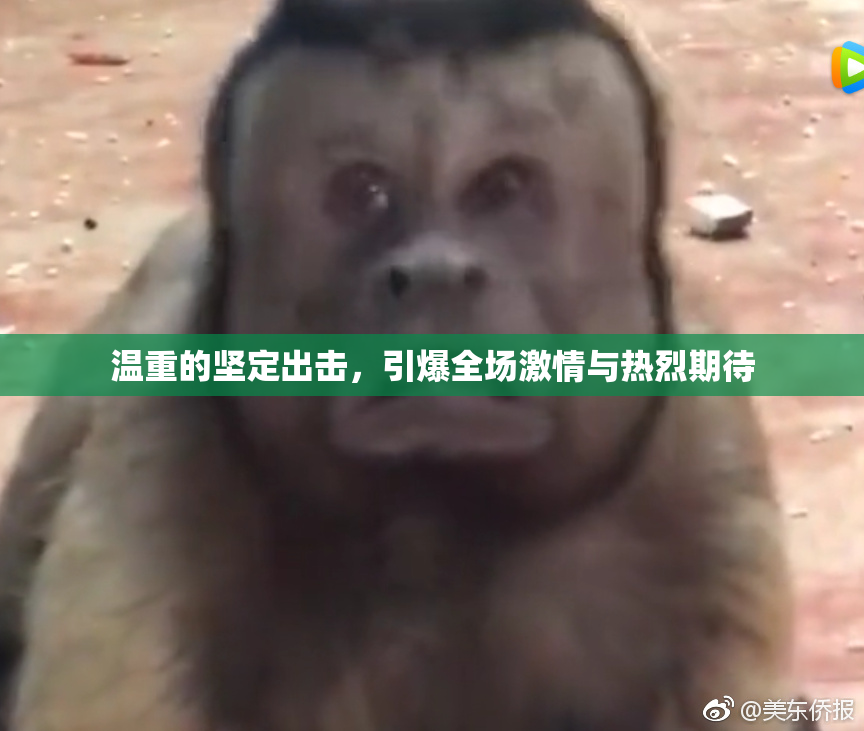 温重的坚定出击，引爆全场激情与热烈期待