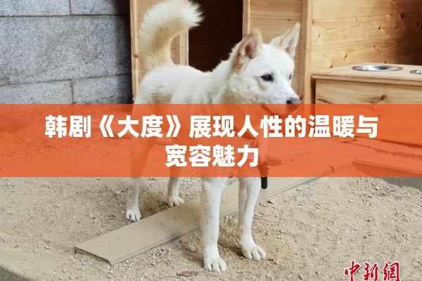 韩剧《大度》展现人性的温暖与宽容魅力