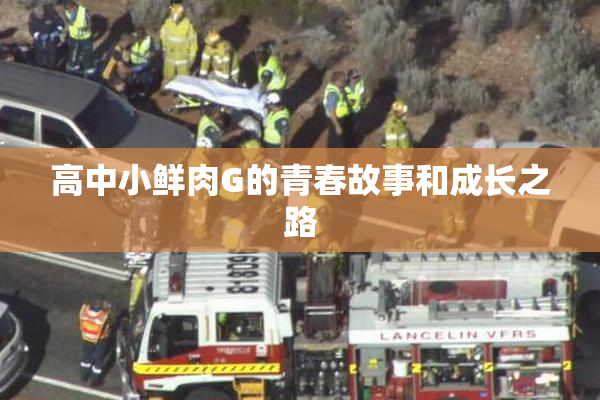 高中小鲜肉G的青春故事和成长之路