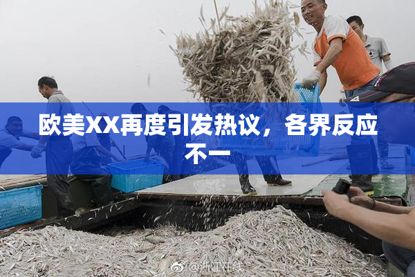 欧美XX再度引发热议，各界反应不一