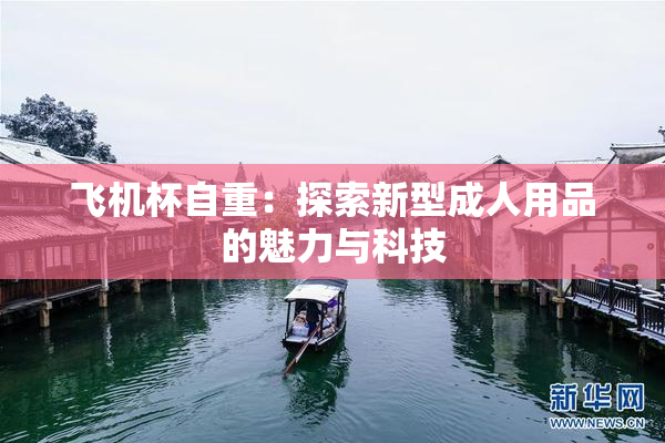 飞机杯自重：探索新型成人用品的魅力与科技