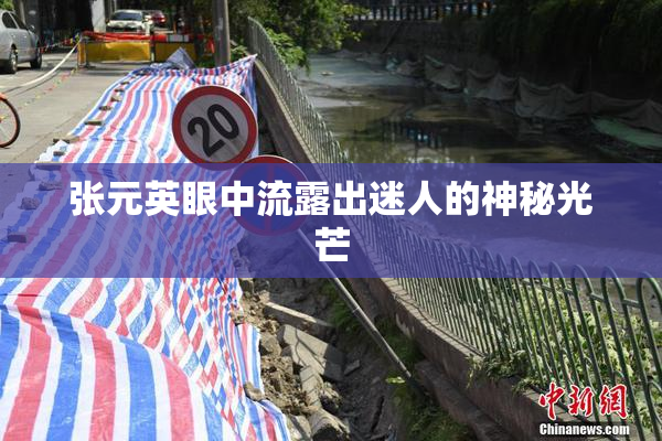 张元英眼中流露出迷人的神秘光芒