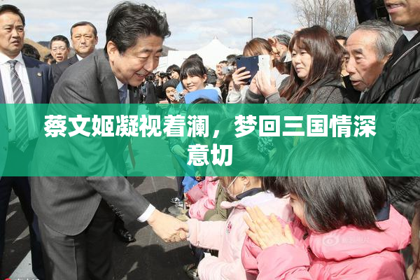 蔡文姬凝视着澜，梦回三国情深意切