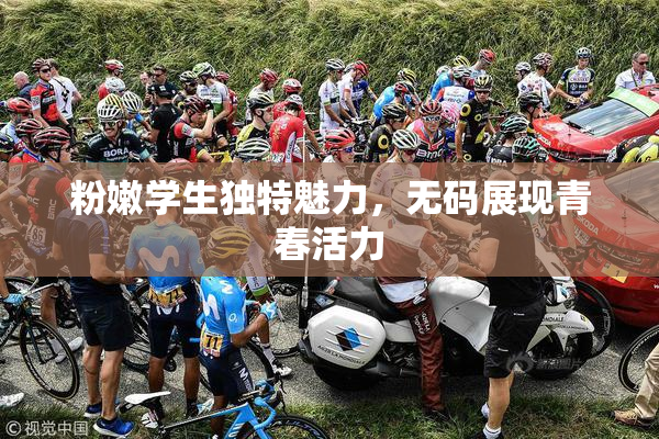 粉嫩学生独特魅力，无码展现青春活力