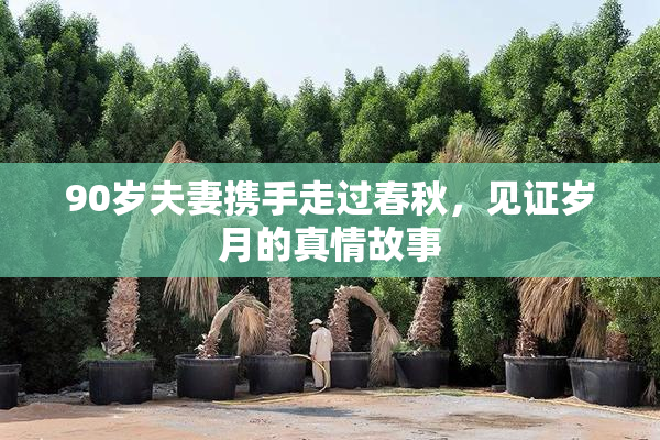 90岁夫妻携手走过春秋，见证岁月的真情故事