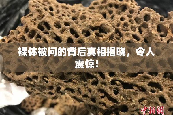 裸体被问的背后真相揭晓，令人震惊！