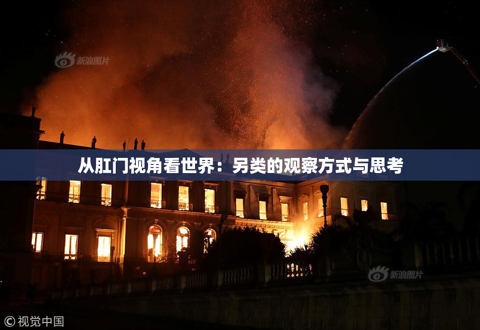 从肛门视角看世界：另类的观察方式与思考