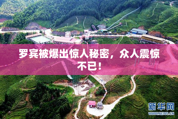 罗宾被爆出惊人秘密，众人震惊不已！