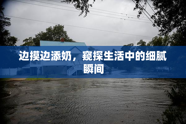 边摸边添奶，窥探生活中的细腻瞬间
