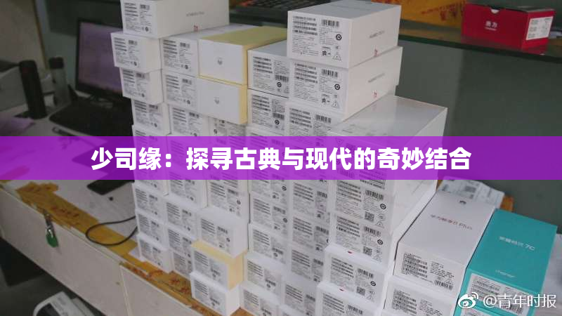 少司缘：探寻古典与现代的奇妙结合
