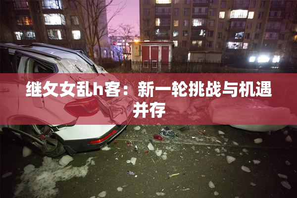 继攵女乱h客：新一轮挑战与机遇并存