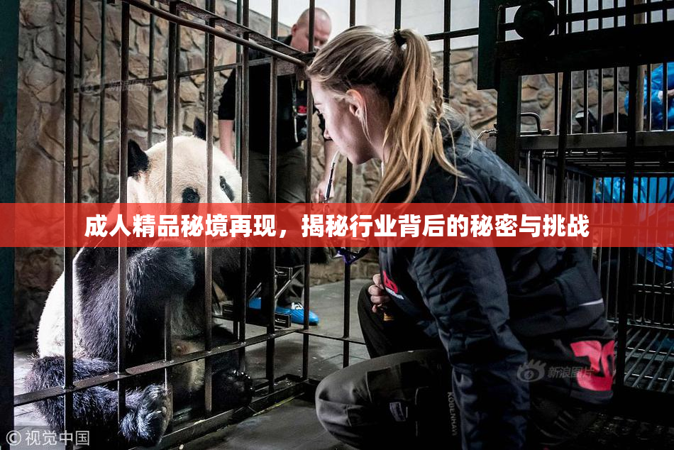 成人精品秘境再现，揭秘行业背后的秘密与挑战