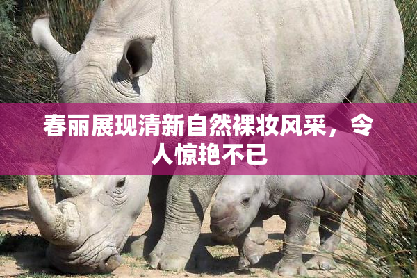 春丽展现清新自然裸妆风采，令人惊艳不已