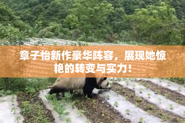 章子怡新作豪华阵容，展现她惊艳的转变与实力！