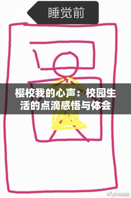 樱校我的心声：校园生活的点滴感悟与体会