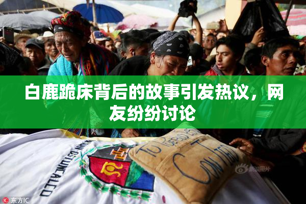 白鹿跪床背后的故事引发热议，网友纷纷讨论