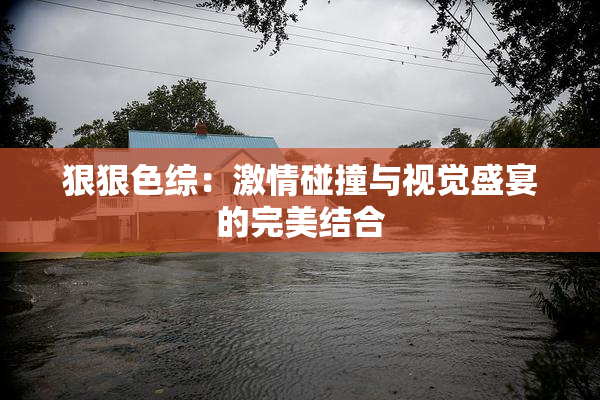 狠狠色综：激情碰撞与视觉盛宴的完美结合