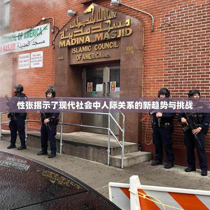 性张揭示了现代社会中人际关系的新趋势与挑战