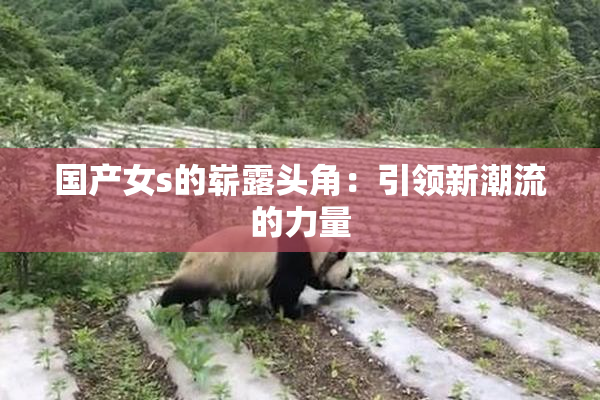 国产女s的崭露头角：引领新潮流的力量