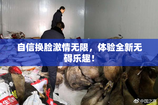 自信换脸激情无限，体验全新无碍乐趣！