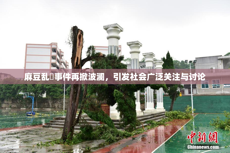 麻豆乱婬事件再掀波澜，引发社会广泛关注与讨论