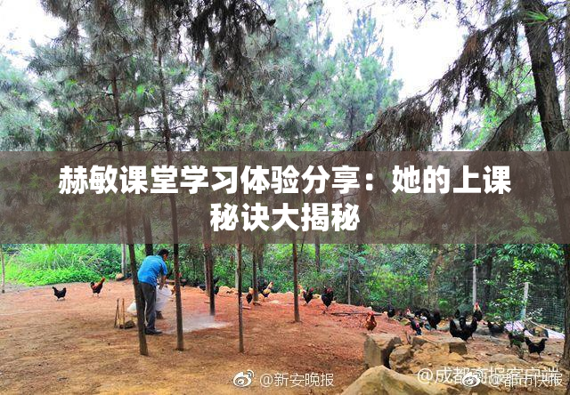 赫敏课堂学习体验分享：她的上课秘诀大揭秘